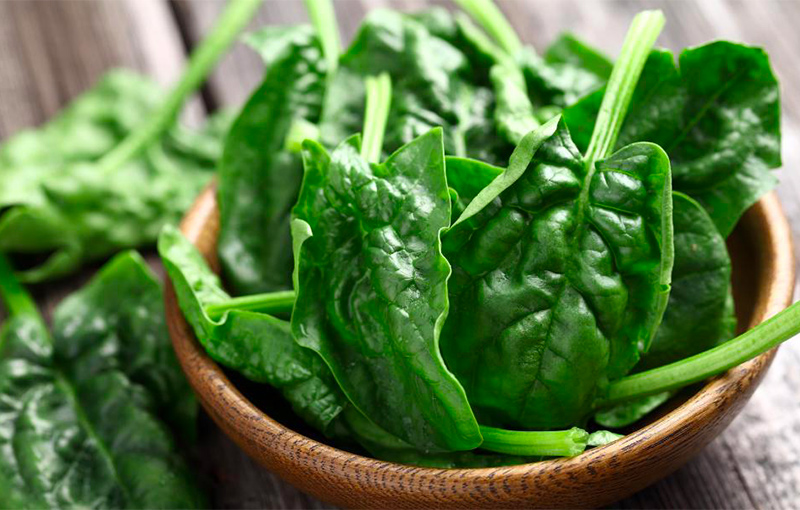 annamaria-acquaviva-metodo-health-revolution-359