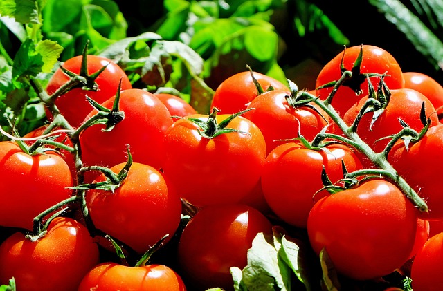 gazpacho