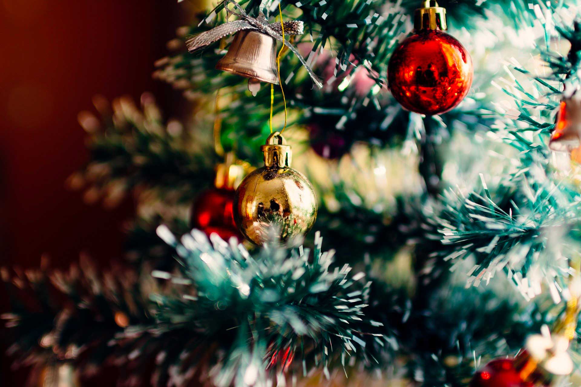cesto di natale sano