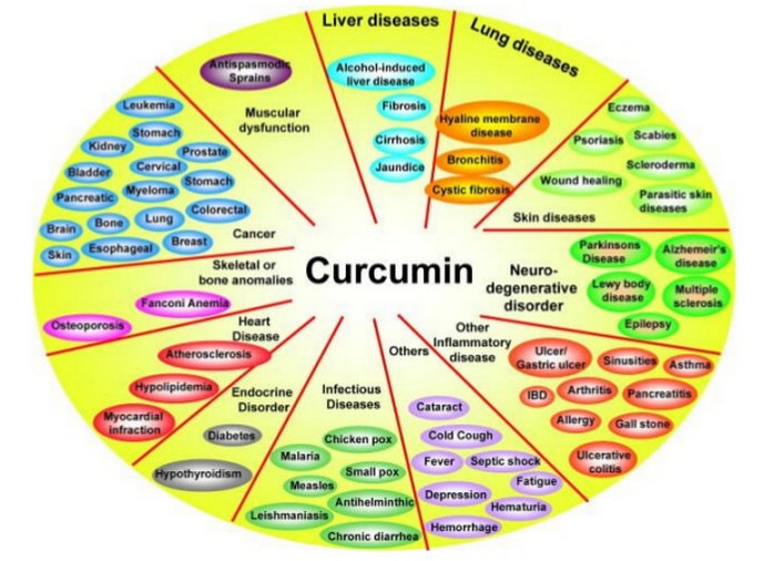curcumina medicina nutrizionale e funzionale