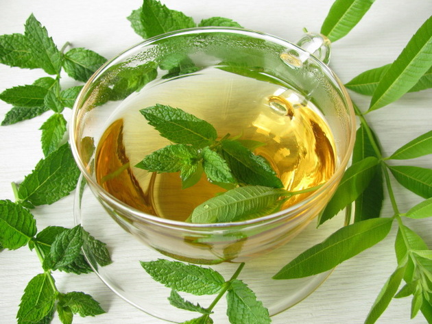 infuso menta tisana proprietà