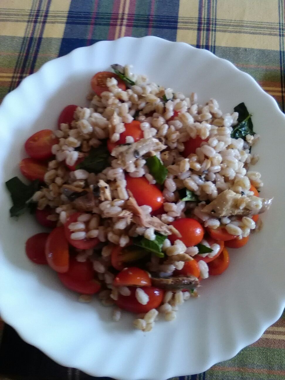 Insalata di Stefania farro sgombro e pomodorini